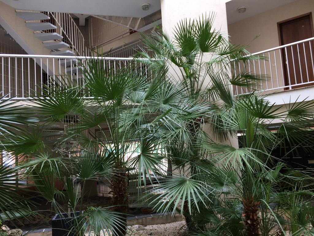 Tu Casa Parking Fibre Optique Netflix Apartment Saint-Raphael  Exterior photo